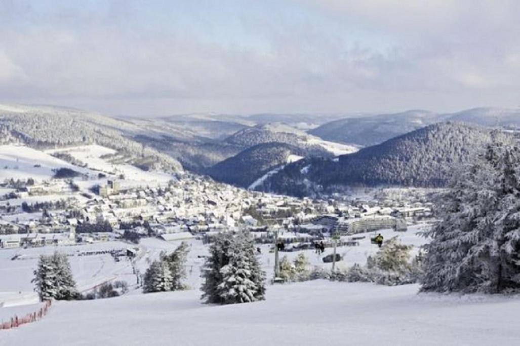Typ Murmeltier Schmallenberg Esterno foto